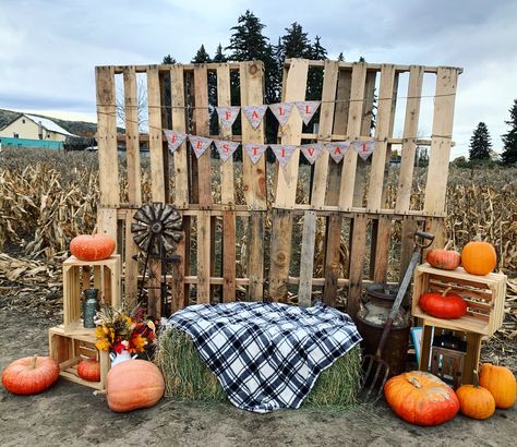 Fall Pallet Backdrop, Fall Decor With Pallets, Pumpkin Photo Booth, Fall Fest Photo Backdrop, Fall Photo Op Ideas, Diy Fall Backdrops For Pictures, Pumpkin Patch Photo Booth, Harvest Photo Booth, Fall Picture Backdrop Ideas