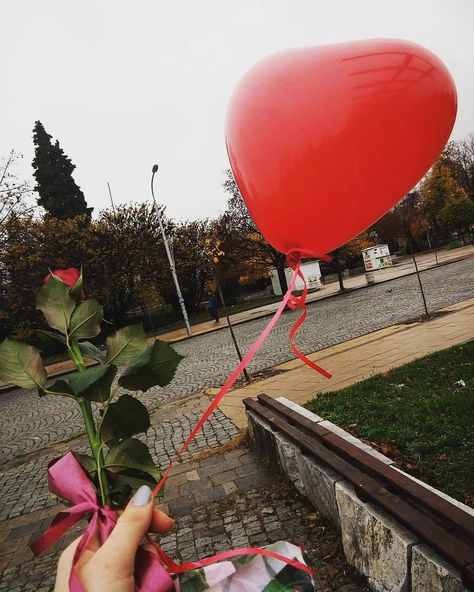 Love ballons. Valentine's day . Love Love Ballons, Best Friend Pictures, Fake Story, Friend Pictures, Dandelion, Cute Dogs, Valentine's Day, Fair Grounds, Best Friends