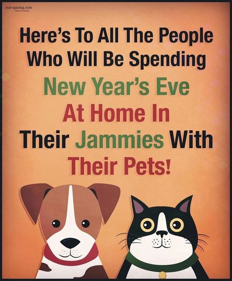 New Year Humor, New Year Jokes, Super Bowl Ideas, Dog Funnies, Christmas Funnies, Animated Quotes, Yoga Dog, Dog Yoga, Fish Cat Toy