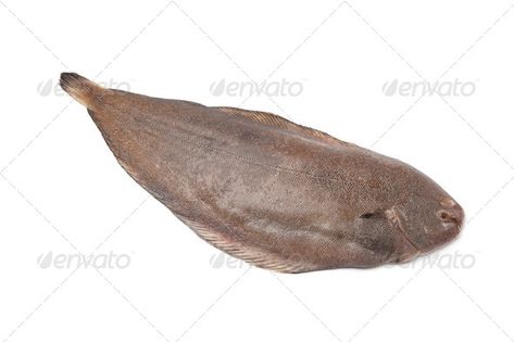 Whole single fresh sole fish by picturepartners. Whole single fresh sole fish on white background#sole, #fresh, #single, #fish Sole Fish, Fish Photo, Food Photography Tutorial, Photoshop Collage, Beginner Photo Editing, Photography Photoshop, Photoshop For Photographers, Photo Editing Photoshop, Photoshop Tips