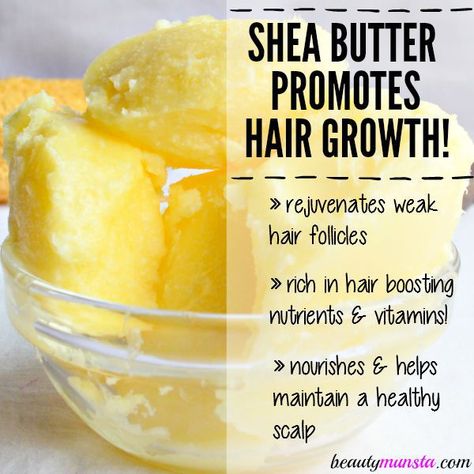 Shea butter is a great natural ingredient to promote hair growth and treat hair loss! Find out how in this post! Shea Butter For Hair, Natural Beauty Hacks, Shea Butter Benefits, Help Hair Growth, Thick Hair Remedies, Shea Butter Hair, Hair Growth Foods, Vitamins For Hair Growth, Homemade Hair Products