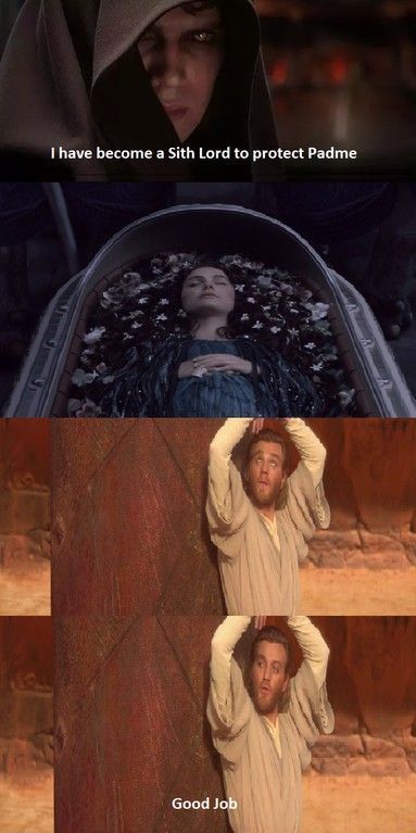 Star Wars Meme, Star Wars Prequels, Funny Star Wars Memes, Anakin Vader, Prequel Memes, Star Wars Quotes, Star Wars Anakin, Star Wars Jokes, Star Wars Comics