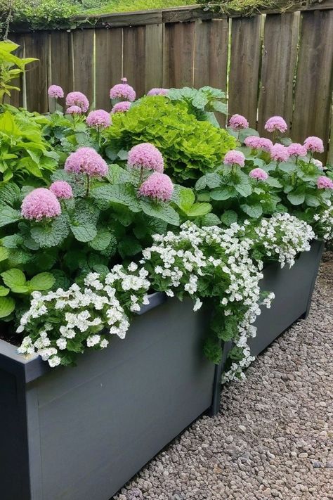 10 Best Plants For Planter Boxes In Shade Outdoor Planter Box Ideas Plants, Plants For Planters, Fern Images, Lily Images, Outdoor Planter Boxes, Coral Bells, Backyard Sheds, Bright Flowers, Tropical Vibes