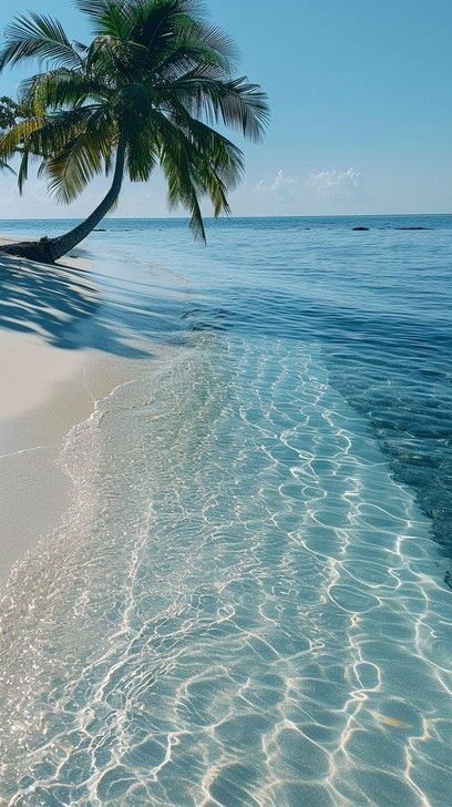 Beach Trees Aesthetic, Tropical Beach Aesthetic, Beach Landscape Photography, Paradise Aesthetic, Ocean Palm Trees, Beautiful Beaches Paradise, Ocean Waves Photography, Belize Beach, Ocean Tropical