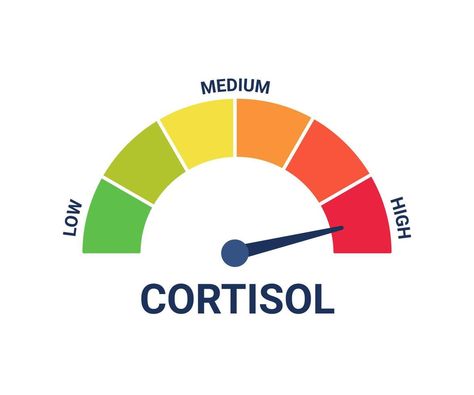 Cortisol Hormone, Manchester United Old Trafford, Measuring Scale, High Cortisol, Cortisol Levels, Hormone Levels, Cityscape Photos, Logo Banners, Text Effects