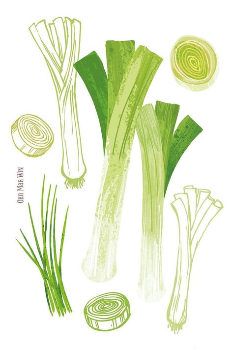 Soup Drawing Food Illustrations, Vegetarian Aesthetic Art, Drawing Inspiration Digital, Leek Illustration, Leek Drawing, Vintage Food Illustration, Soup Drawing, Packaging Drawing, Cute Food Illustration