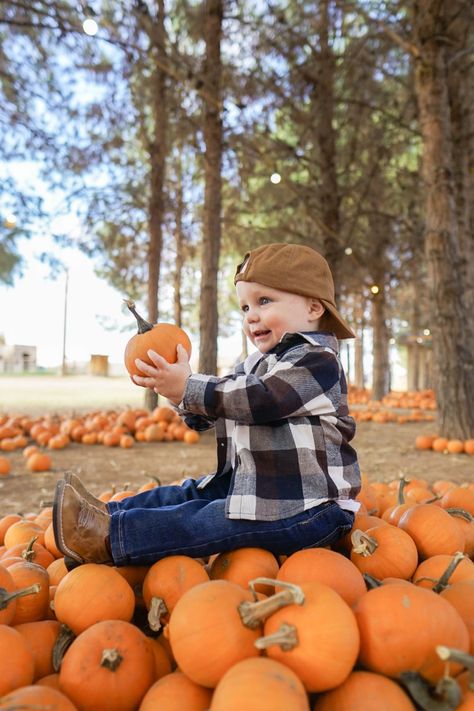 Pumpkins Patch Pictures, Sibling Pumpkin Patch Pictures, Fall Toddler Photoshoot Ideas, Pumpkin Patch Toddler Photoshoot, Pumpkin Patch Kids Photoshoot, Pumpkin Patch Photoshoot Kids, Pumpkin Patch Pictures Baby, Pumpkin Patch Instagram Pictures, Pumpkin Patch Photoshoot Family