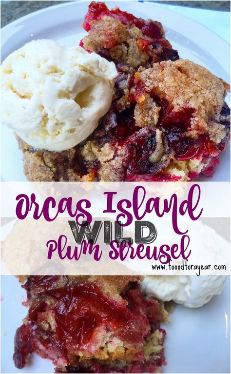 Plum Pie Recipe, Plum Crisp, Plum Dessert, Summer Fruit Recipes, Plum Pie, Sour Plum, Wild Plum, Plum Recipes, Foraging Recipes