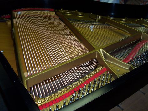 How to Replace Your Piano Strings Piano Strings, A Lot Of People, One Day, Piano, Architecture, Quick Saves, Pianos