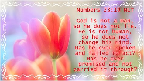 Numbers 23:19 Numbers 23 19, Verses From The Bible, Give Hope, Encouraging Quotes, Encouragement Quotes, Faith Quotes, The Bible, Fails, Verses