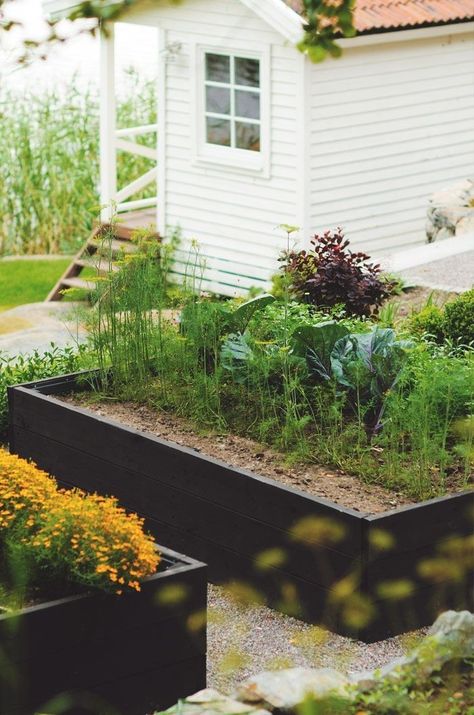 Trend Alert: Black-Stained Raised Beds - Gardenista Raised Bed Herb Garden, Kebun Herbal, Vegetable Patch, Garden Layout Vegetable, Vegetable Garden For Beginners, Desain Lanskap, Veg Garden, Have Inspiration, Garage Ideas