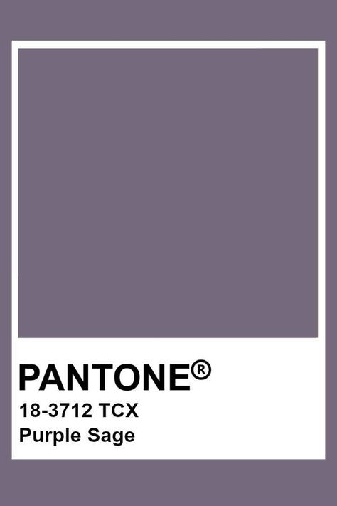 Soft Summer Pantone, Muted Purple Paint Color, Muted Purple Palette, Purple Sage Color Palette, Purple Sage Aesthetic, Pantone Tcx Purple, Dusty Purple Paint Color, Pantone Purple Shades, Muted Purple Aesthetic