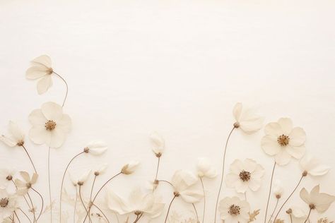 Real pressed white flowers backgrounds pattern petal. | free image by rawpixel.com / Wan Aesthetic Flowers Laptop Wallpaper, White Wallpaper For Laptop, Flowers Pc Wallpaper, Flowers Aesthetic Wallpaper Laptop, Anki Backgrounds, Background Laptop Desktop Wallpapers, White Aesthetic Wallpaper Laptop, Flowers Wallpaper Laptop, Background Laptop Aesthetic