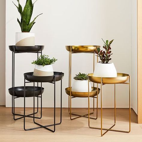 Indoor House Plant Stand, Iron Plant Stand Indoor, Indoor Metal Plant Stand, Camel Plant Stand, Tall Plant Stand Indoor Metal, Plant Stands For Bathroom, Antique Plant Stand Indoor, Modern Plant Stand Indoor, Plant Stands Indoor Living Rooms Spaces