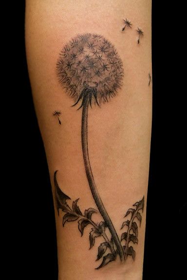 Dandelion clock | Esther Garcia | Flickr Fleshy Art, Tattoos Dandelion, Dandelion Tattoo Ideas, Tattoo Dandelion, Dandelion Tattoo Meaning, Dandelion Tattoos, Himalayan Blue Poppy, Tattoo Memorial, Dandelion Tattoo Design