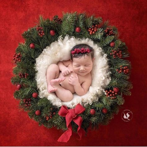 Newborn Christmas Photography, Newborn Christmas Pictures, Luisa Dunn, Baby Christmas Photography, Newborn Christmas Photos, Christmas Baby Pictures, Newborn Art, Christmas Newborn, Foto Newborn