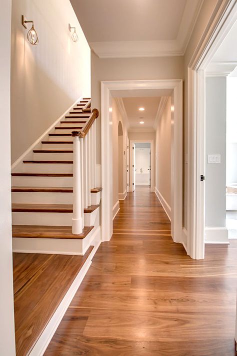 Stairway and hallway with Black Walnut floor by Oak & Broad Black Walnut Flooring, Walnut Flooring, Wood Floor Colors, Hardwood Floor Colors, Walnut Floors, Wood Floors Wide Plank, Ceiling Design Modern, Floor Colors, Timber Flooring