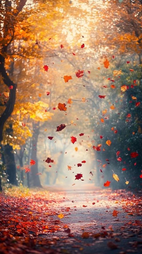 Yellow Autumn Wallpaper, Pathetic Fall Wallpaper, Fall Scenes Wallpaper, Fall Pics Aesthetic Wallpaper, Fall Hearts Wallpaper, Pretty Halloween Wallpaper Iphone, Cozy Fall Pictures, Spooky Autumn Wallpaper, October Asthetic Wallpers