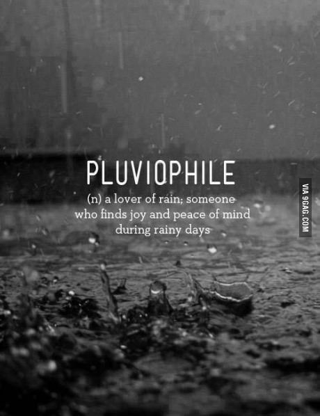 Who else here find sound of rain charming? The Sound Of Rain, Sound Of Rain, The Sound, New Memes, Daily Dose, Funny Memes, Sound, Humor, Memes