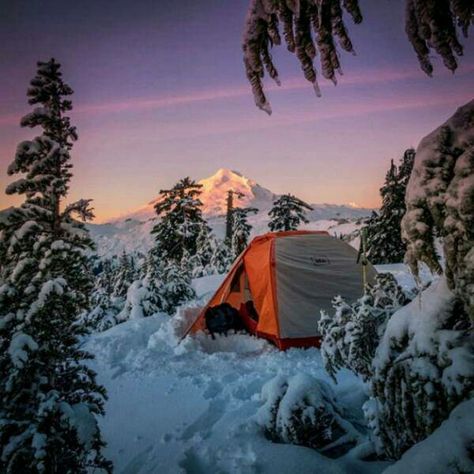 Winter camping! Winter Camping Photography, Camping Goals, Snow Camping, Camping Photo, Mt Baker, Camping Inspiration, Wild Camping, Camping Photography, Camping Aesthetic