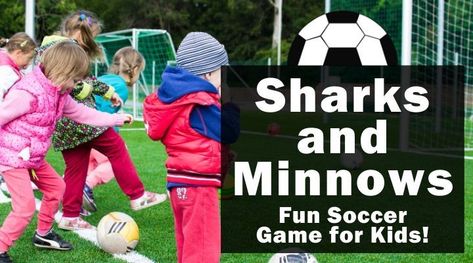 Sharks and Minnows (Fun Soccer Game for Kids!) Soccer Games For Middle School, Sharks And Minnows Game, Fun Soccer Games, Toddler Soccer, Soccer Games For Kids, Soccer Drills For Kids, Pirate Games, Soccer Theme, Pe Games