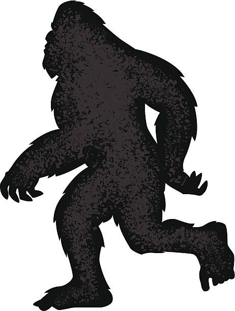 2,704 Bigfoot Illustrations, Royalty-Free Vector Graphics & Clip Art - iStock Bigfoot Drawing, Bigfoot Illustration, Bigfoot Birthday, Bigfoot Pictures, Bigfoot Art, Cartoon Silhouette, Classic Halloween Costumes, Crossing Sign, Bigfoot Sasquatch