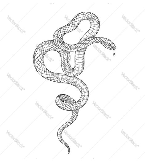 Snake Side View Drawing, Snake Tattoo Template, Snake Line Tattoo, Snake Tattoo Design For Men, Snake Outline, Snake Vector, Piston Tattoo, Cupid Tattoo, Cobra Tattoo