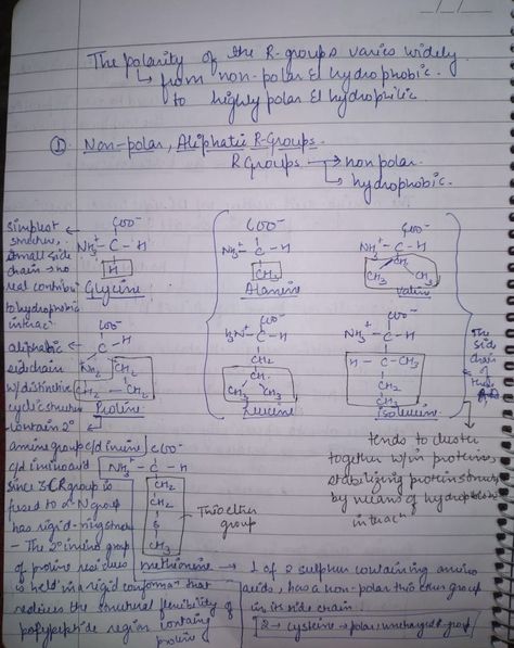 reference: Lehniger Principles of Biochemistry Mbbs 1st Year, Chapter Notes, Handmade Notes, 1st Year, Biochemistry, Amino Acids, 1 Year, Psychology, Quick Saves