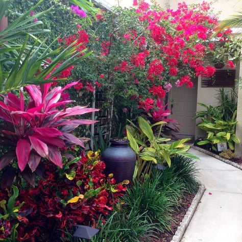 Bright Tropical - Tropical - Landscape - Miami - by Pamela Crawford & Associates | Houzz Tropical Front Yard Landscaping, Tropical Front Yard, Natural Ponds, Amazing Landscaping Ideas, Curb Appeal Landscape, Tropical Landscape Design, Gravel Landscaping, Stone Landscaping, Natural Pond