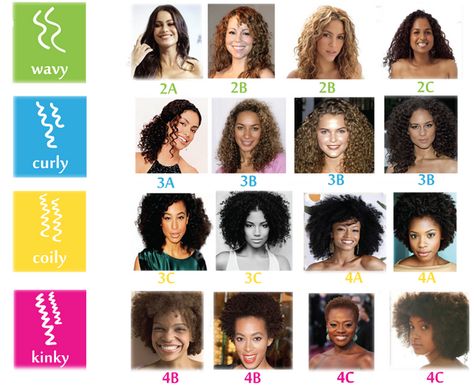 Find your curly type! I'm a 2B/2C/3A combo. Curl Chart, Perm Ideas, Haircut Tutorials, Hair Type Chart, Hair Chart, Permed Hair, Different Types Of Curls, Character Making, Haircut Types