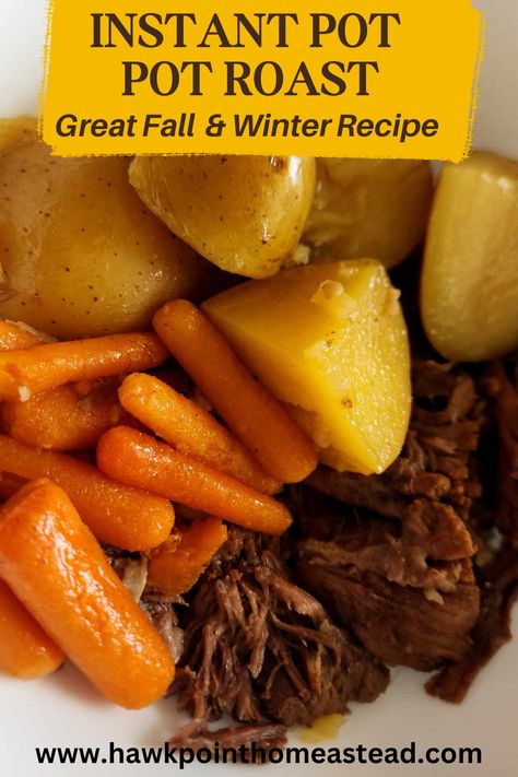 Instant Pot Pot Roast Recipes, Yankee Pot Roast Instant Pot, Pork Ribeye Roast Instant Pot, Roast In Instant Pot, Instant Pot Pot Roast Recipe, Blade Roast, Leftover Pot Roast, Rolled Roast, Canned Corned Beef