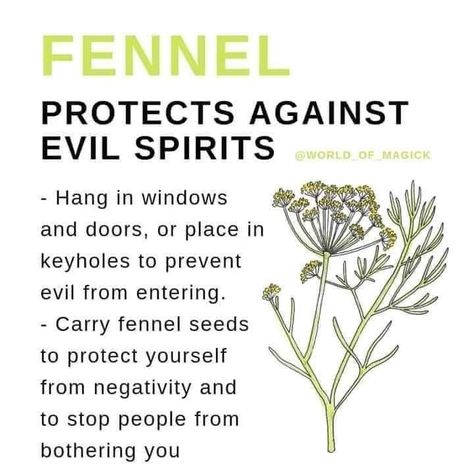 Fennel Witchcraft, How To Remove Evil Spirits From Your Home, Prayers For Evil Spirits, Protection Against Evil Spirits, Witch Healing, Witch Runes, Space Cleansing, Protection From Evil Spirits, Herbs For Protection