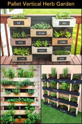 How Clever is This? A Vertical Herb Garden Made From Recycled Pallets! Palette Herb Garden, Potager Palettes, Vertical Herb Gardens, Herbs Growing, Plantarea Legumelor, Kebun Herbal, Herb Garden Pallet, Outdoor Herb Garden, Taman Diy