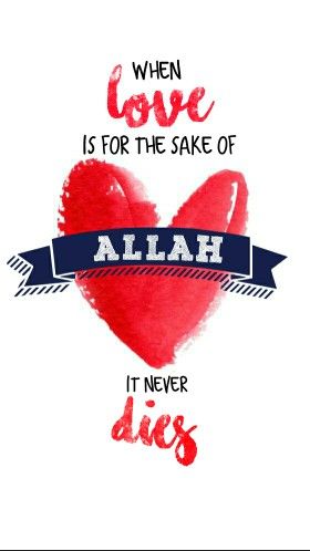 say no to valentines day  [ Allah God Islam Quran Muhammad (peace be upon him) Jesus (peace be upon him) Hadith Muslim Islamic Quotes ] God Islam, Jesus Peace, Allah God, Islam Religion, Peace Be Upon Him, Islam Quran, Islamic Quotes, Sake, Quran