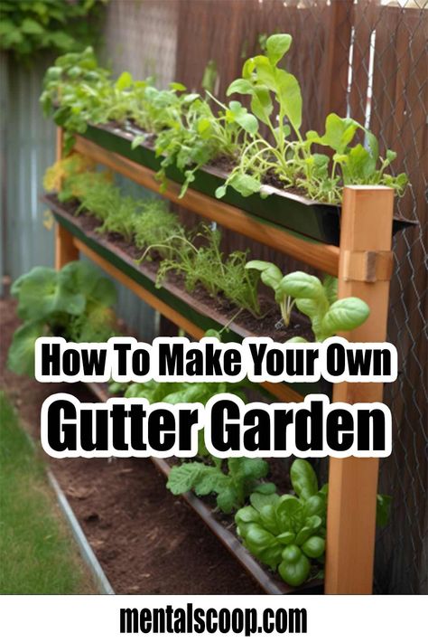 Gutter Planters Diy, Gutter Garden Ideas, Rain Gutter Garden, Growing Herbs Outdoors, Chicago Garden, Diy Gutters, Unique Planters, Gutter Garden, Fence Planters