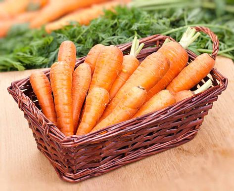 How To Store Carrots In The Fridge - Foods Guy Store Carrots In Fridge, Carrot Storage, How To Store Carrots, Eating Carrots, Program Diet, Green World, Vegetable Storage, Beta Carotene, How To Store