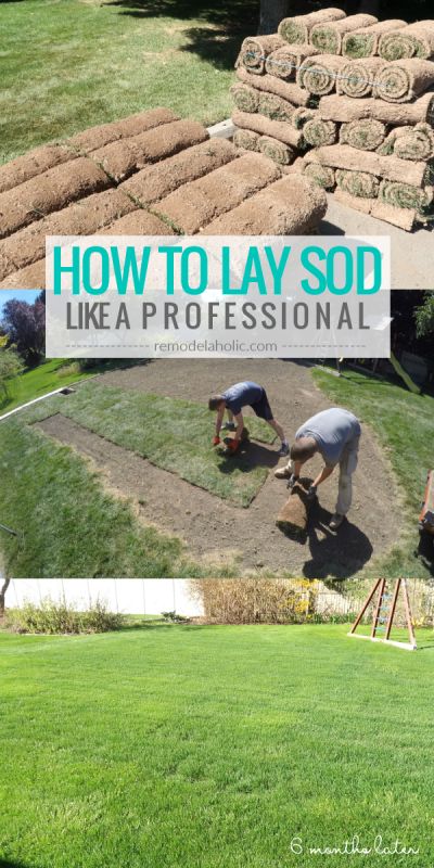 How To Lay Sod, Diy Concrete Patio, Sod Installation, Planting Grass, Lawn Care Business, Pavers Backyard, Diy Lawn, Porch Living, Landscaping Business