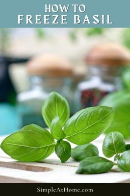 Basil: How To Freeze This Amazing Herb For Later Use — Simple At Home How To Preserve Basil From The Garden, How To Freeze Fresh Basil, Freezing Butter, How To Freeze Basil, Can You Freeze Eggs, Preserving Basil, Homestead Cooking, Easy Pasta Sauce, Growing Basil