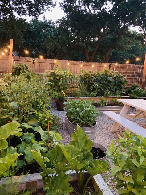 4 (4x4) & 3 (3x12) raised beds Whole Backyard Garden, Gardening Bed Ideas, Vego Garden Beds, Backyard Vegetable Garden Aesthetic, Raised Bed Garden, Mixed Flower And Vegetable Garden Raised Beds, 4x4 Raised Garden Bed Planting, Raised Bed Pollinator Garden, Allotment Bed Ideas