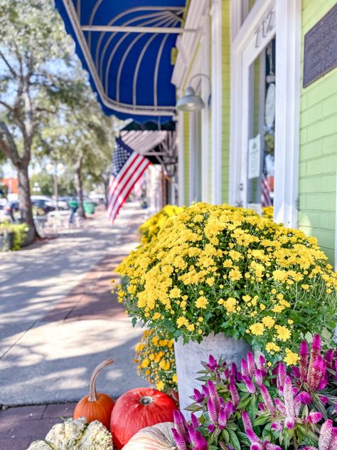 Georgetown South Carolina, Georgetown Sc Things To Do In, Homemade Subs, Charleston Sc King Street, Georgetown Waterfront Washington Dc, Downtown Beaufort South Carolina, Ny Deli, Submarine Sandwich, Georgetown Sc