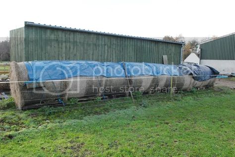 Keeping round bale hay outside | Horse and Hound Forum Round Bale Storage, Pallet Floors, Plastic Plant Pots, Rumi, Hedges, Potted Plants, The Outsiders, Yard, Horses