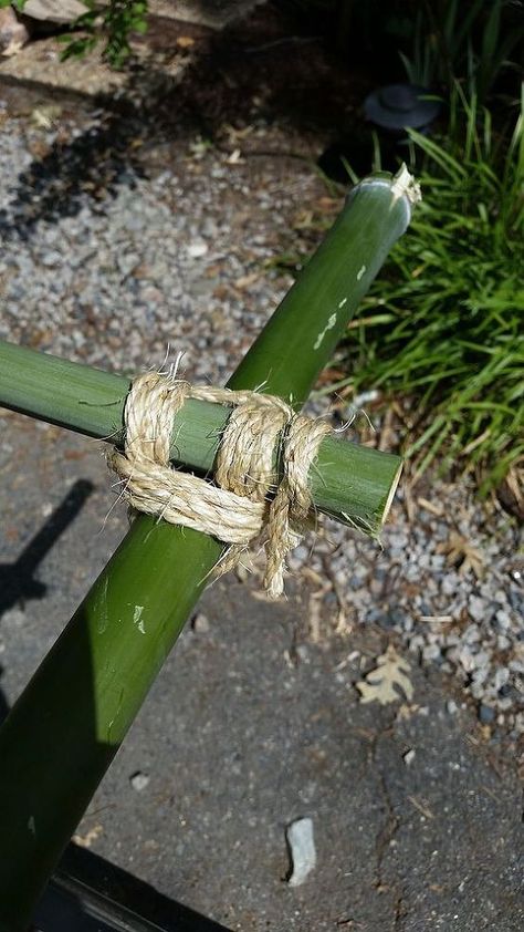 bamboo pergola arbor budget create, diy, gardening, repurposing upcycling Bamboo Pergola, Pergola Arbor, Garden Walkways, Louvered Roof, Bamboo Diy, Cheap Pergola, Rustic Backyard, Pergola Swing, Bamboo Decor