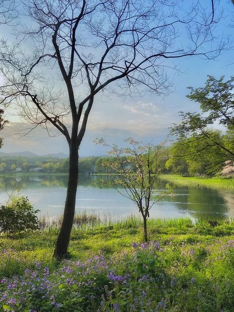 Turtle Lake, China Turtle Lake, Garden Of Eden, Natural Phenomena, Aesthetic Images, Beautiful Scenery, Geography, Fresh Water, Borders, Lake