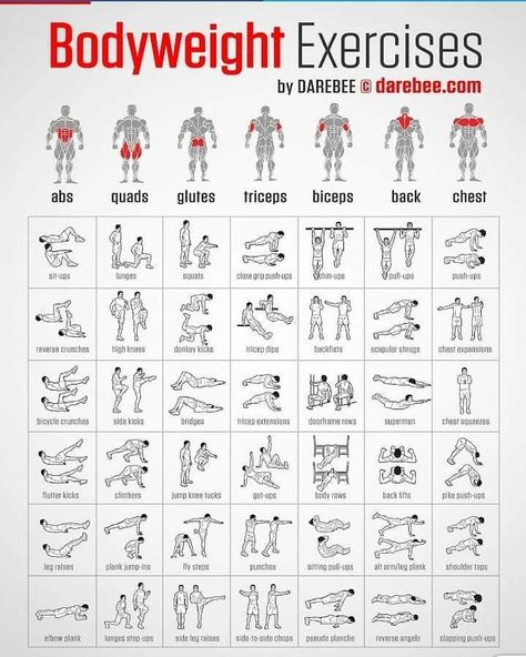 Hiit Exercises, Body Weight Workout Plan, Plank Shoulder Taps, Back Exercise, Exercise Home, Workout Routine For Men, Reverse Crunches, Donkey Kicks, Fitness Ideas