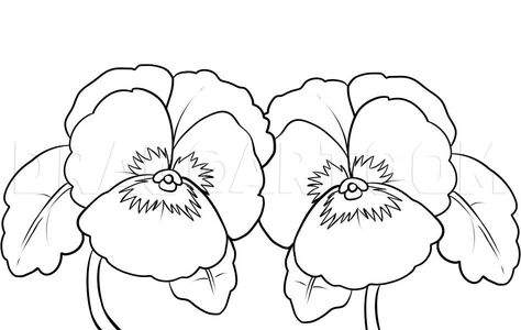 How To Draw Pansies, Step by Step, Drawing Guide, by Dawn - DragoArt Velika Noč, Printable Flower Coloring Pages, Mothers Day Coloring Pages, Flower Drawing Tutorials, Drawing Flowers, Pansies Flowers, Favorite Flower, Plant Drawing, Flower Printable