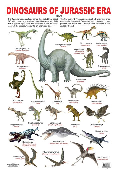 Evolution Of Dinosaurs, Triassic Period Dinosaurs, Scientifically Accurate Dinosaurs, Dinosaur Information, Types Of Dinosaurs, Dinosaur Types, Prehistoric Animals Dinosaurs, Prehistoric Age, Dinosaur Poster