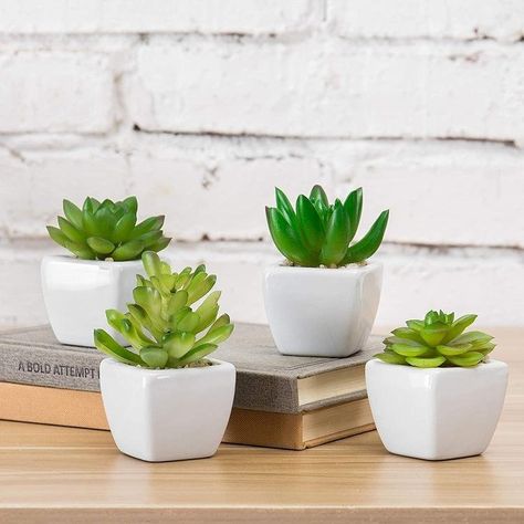 Small Garden Oasis, Kaktus Dan Sukulen, White Ceramic Planter, Desk Plants, Greenery Arrangements, Ceramic Planter Pots, Market Ideas, Decoration Plante, Pot Set