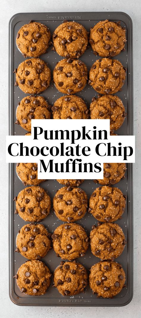 Pumpkin Chocolate Chip Muffins pin with overlay text Pumpkin Choco Chip Muffins, Pumpkin Oat Chocolate Chip Muffins, Gf Pumpkin Chocolate Chip Muffins, Gluten Free Chocolate Chip Pumpkin Muffins, Whole Wheat Pumpkin Chocolate Chip Muffins, Pumpkin Dark Chocolate Muffins, Pumpkin Spice Chocolate Chip Muffins, Pumpkin Chocolate Chip Muffins Moist, Best Pumpkin Chocolate Chip Muffins