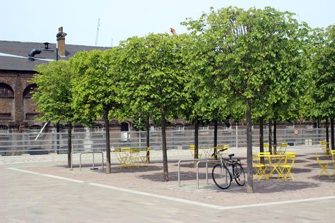 Granary Square, Plaza Design, Pocket Park, Public Square, Formal Garden, Public Realm, Urban Area, Green Wall, Urban Design