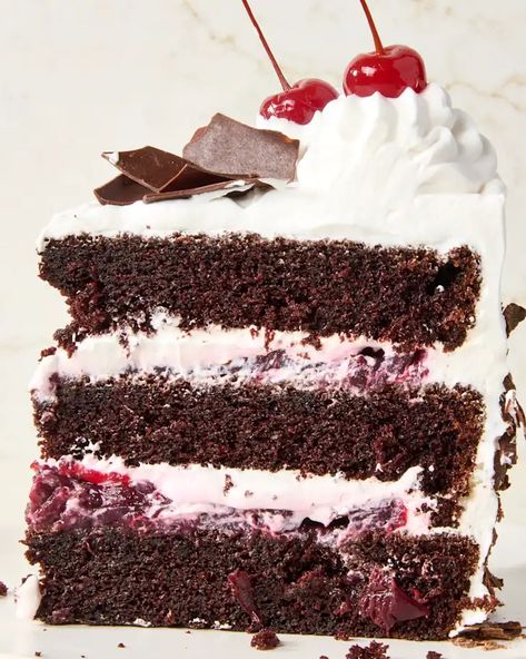 Black Forest Cake Recipe | The Kitchn Black Forest Cherry Cake, Red Velvet Cheesecake Cake, Black Forest Cake Recipe, Lemon Cream Cake, German Cake, Vegan Whipped Cream, Cherry Sauce, Canned Cherries, Red Velvet Cheesecake